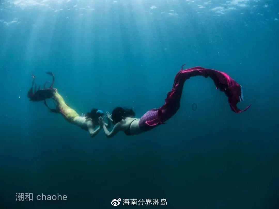 植物大战僵尸7