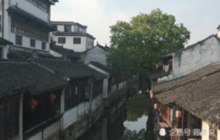 人体脂肪秤上的mus代表什么意思？游戏画面